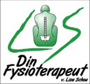 din-fys logo